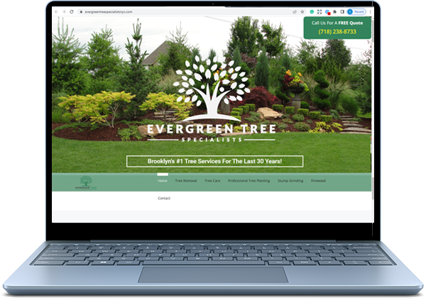 SEO Works Evergreen Tree Specialists