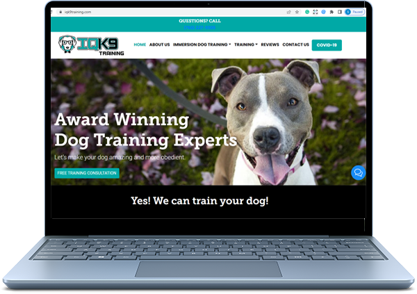 SEO Works IQ K9 Training